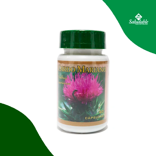 CARDO MARIANO Sylium